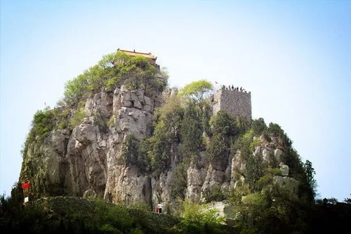 來淄博 看淄博 2018首屆全國國際象棋棋協大師賽看過來