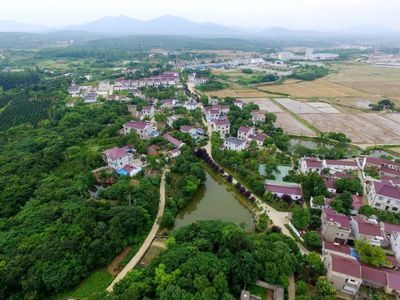 植綠不止，春山可望！馬鞍山市這個縣扛起高質量發展“綠色擔當”