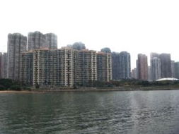 香港中原地產有限公司馬鞍山分行 專業(yè)房地產服務的可靠選擇