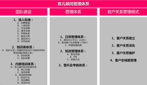 解析咨詢(xún)行業(yè) 那些載入史冊(cè)的經(jīng)典成功案例與策劃服務(wù)的核心價(jià)值
